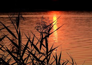 See mit schönem Sonnenuntergang
